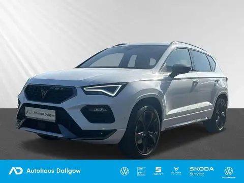 Used CUPRA ATECA Petrol 2024 Ad 