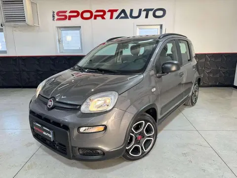 Annonce FIAT PANDA Hybride 2021 d'occasion 