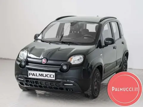 Used FIAT PANDA Hybrid 2023 Ad 