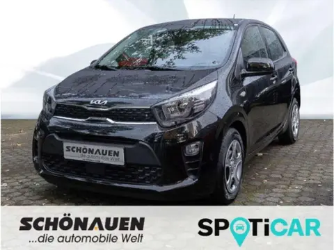 Used KIA PICANTO Petrol 2024 Ad 