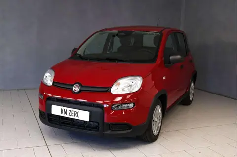 Used FIAT PANDA Hybrid 2024 Ad 