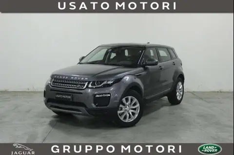 Used LAND ROVER RANGE ROVER EVOQUE Diesel 2019 Ad 