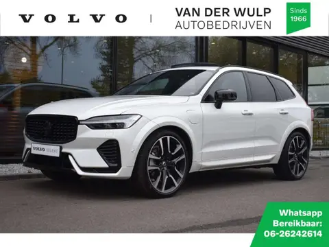 Used VOLVO XC60 Hybrid 2024 Ad 