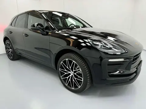 Annonce PORSCHE MACAN Essence 2024 d'occasion 