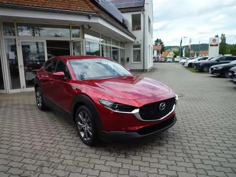 Annonce MAZDA CX-30 Essence 2024 d'occasion 