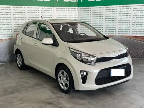 Annonce KIA PICANTO Essence 2023 d'occasion 