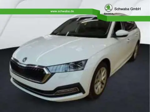 Annonce SKODA OCTAVIA Diesel 2023 d'occasion 