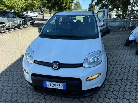 Used FIAT PANDA Hybrid 2022 Ad 