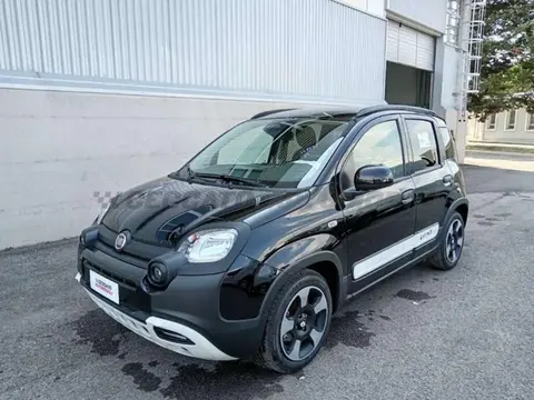 Used FIAT PANDA Hybrid 2024 Ad 