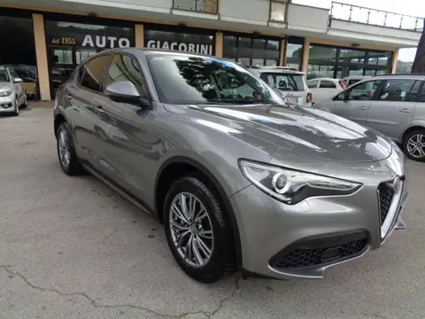 Used ALFA ROMEO STELVIO Diesel 2021 Ad 