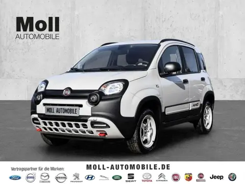 Annonce FIAT PANDA Essence 2024 d'occasion 