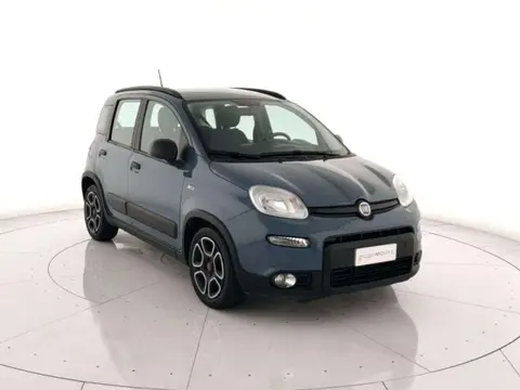 Used FIAT PANDA Hybrid 2021 Ad 