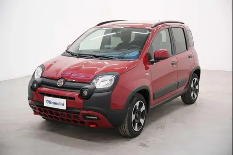 Used FIAT PANDA Hybrid 2024 Ad 