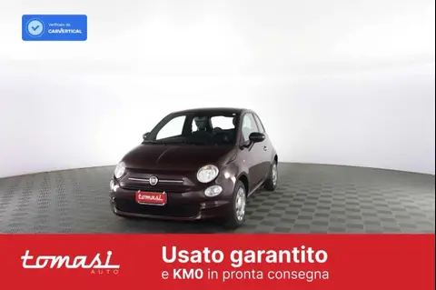 Used FIAT 500 Petrol 2020 Ad 