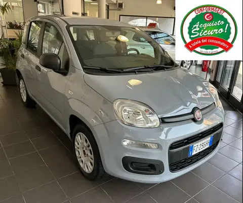 Annonce FIAT PANDA Essence 2019 d'occasion 