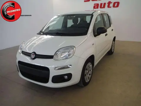 Annonce FIAT PANDA Essence 2016 d'occasion 