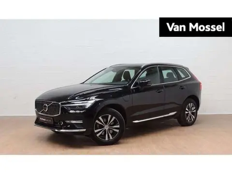 Annonce VOLVO XC60 Hybride 2021 d'occasion 