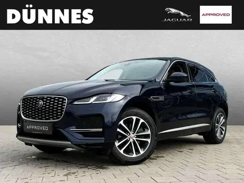 Used JAGUAR F-PACE Diesel 2021 Ad 