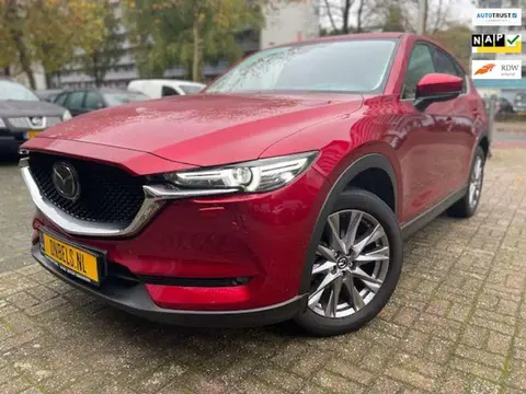 Annonce MAZDA CX-5 Essence 2020 d'occasion 