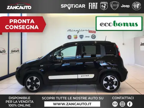 Used FIAT PANDA Hybrid 2024 Ad 