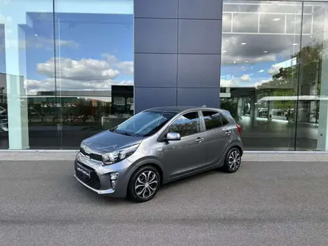 Used KIA PICANTO Petrol 2023 Ad 