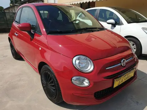 Used FIAT 500 Petrol 2019 Ad 