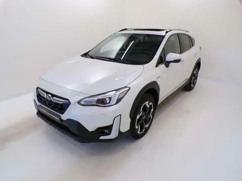 Annonce SUBARU XV Diesel 2021 d'occasion 