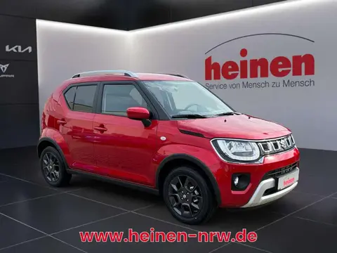 Annonce SUZUKI IGNIS Hybride 2024 d'occasion Allemagne