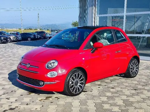 Annonce FIAT 500 Hybride 2021 d'occasion 