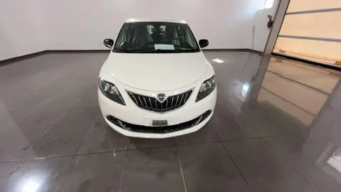 Used LANCIA YPSILON Hybrid 2024 Ad 