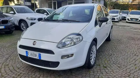 Annonce FIAT PUNTO Essence 2017 d'occasion 