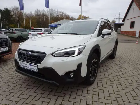 Used SUBARU XV Petrol 2023 Ad 