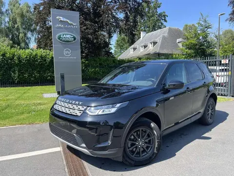 Used LAND ROVER DISCOVERY Diesel 2020 Ad Belgium