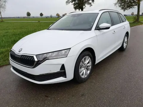 Used SKODA OCTAVIA Diesel 2024 Ad 