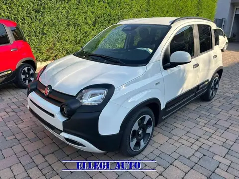 Used FIAT PANDA Hybrid 2024 Ad 