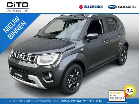 Used SUZUKI IGNIS Petrol 2024 Ad 