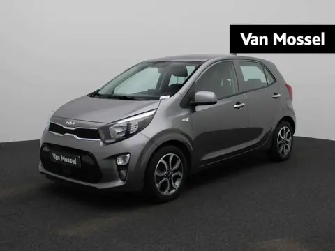 Annonce KIA PICANTO Essence 2022 d'occasion 