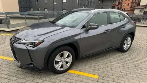 Used LEXUS UX Hybrid 2021 Ad 