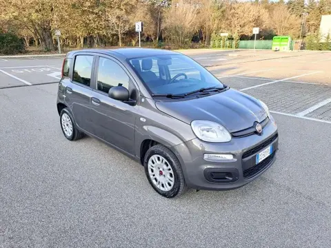 Annonce FIAT PANDA Essence 2020 d'occasion 