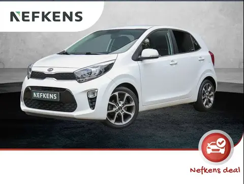 Annonce KIA PICANTO Essence 2019 d'occasion 