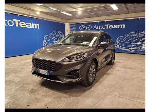 Used FORD KUGA Hybrid 2023 Ad 