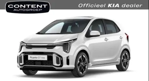 Used KIA PICANTO Petrol 2024 Ad 