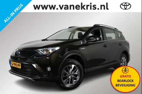 Used TOYOTA RAV4 Hybrid 2018 Ad 