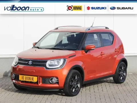 Used SUZUKI IGNIS Petrol 2019 Ad 