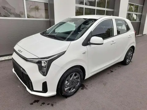 Used KIA PICANTO Petrol 2024 Ad 