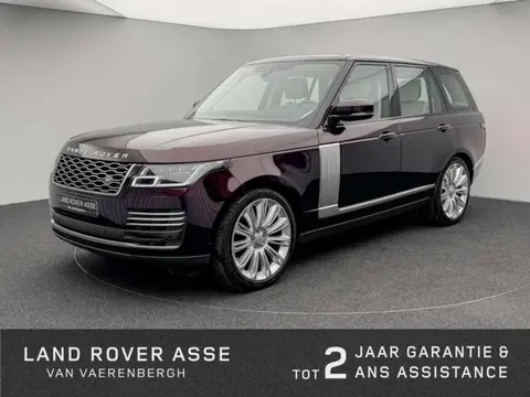 Used LAND ROVER RANGE ROVER Diesel 2019 Ad 