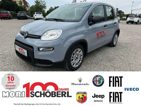 Used FIAT PANDA Petrol 2023 Ad 