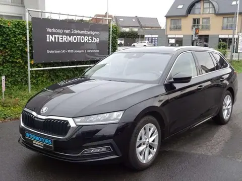 Used SKODA OCTAVIA Petrol 2022 Ad 