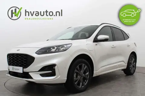 Used FORD KUGA Hybrid 2021 Ad 