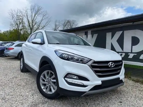 Used HYUNDAI TUCSON Diesel 2016 Ad 